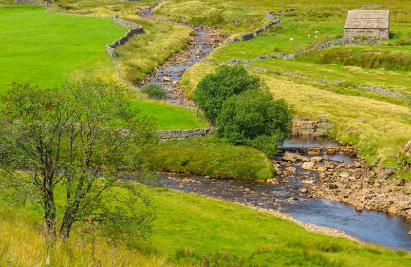 Swale Repair