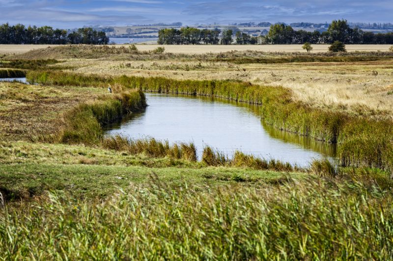 Swale Repair