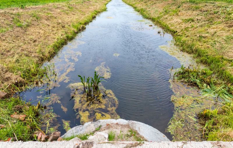 Swale Repair