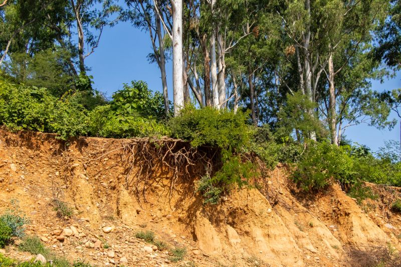 Erosion Control Experts
