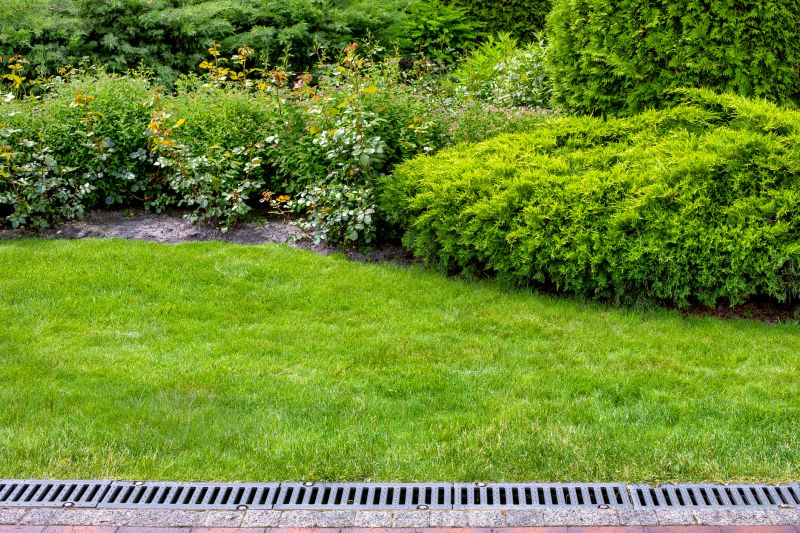 Yard Drainage Improvement in Birmingham, AL